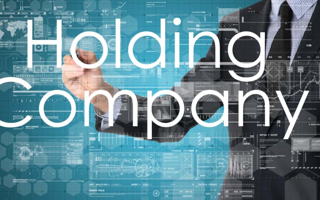 Why Every Business Should Consider a Holding Company